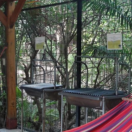 Casa Del Sol -Villas Catalinas ポトレロ エクステリア 写真
